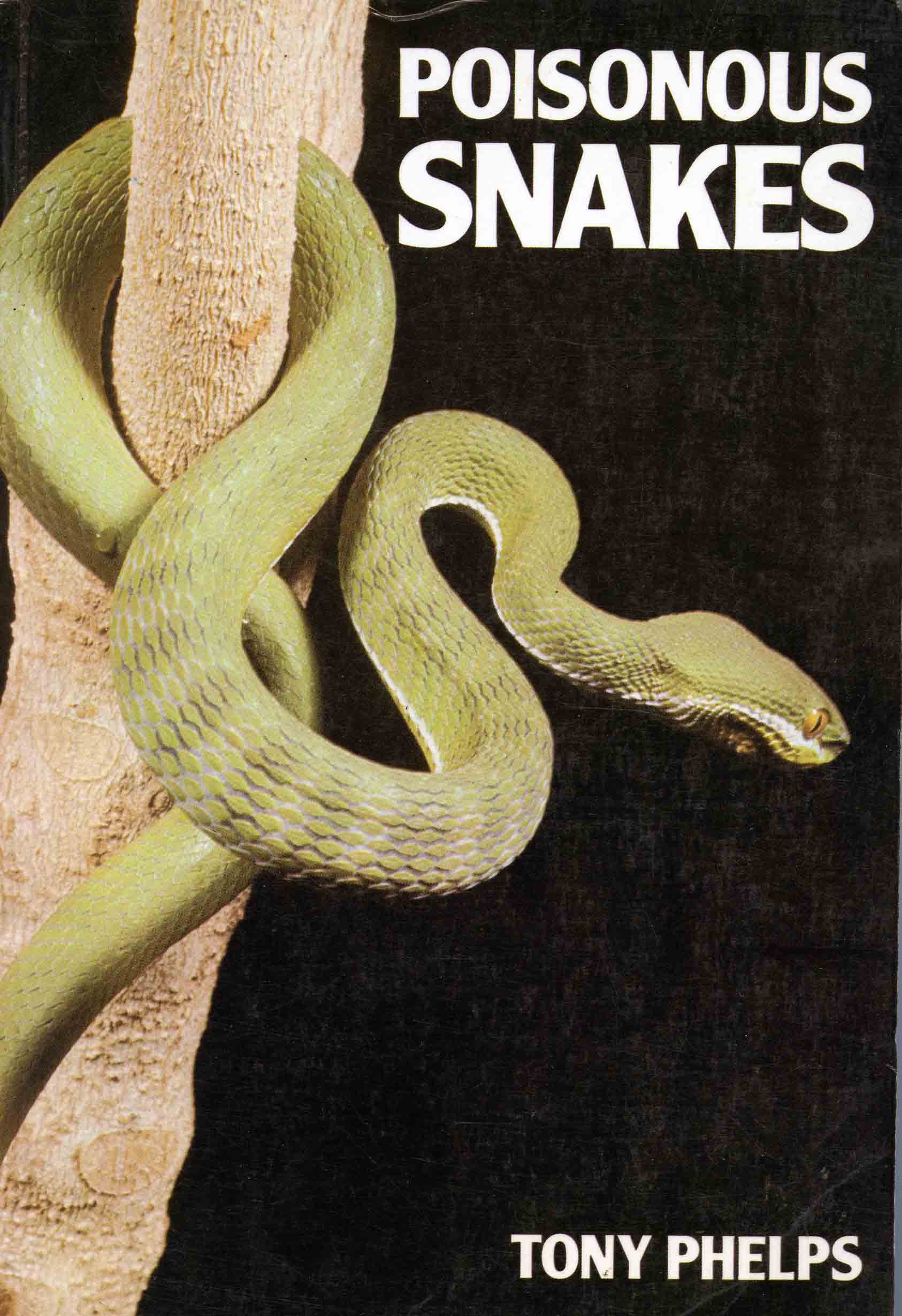 Image for Poisonous Snakes,